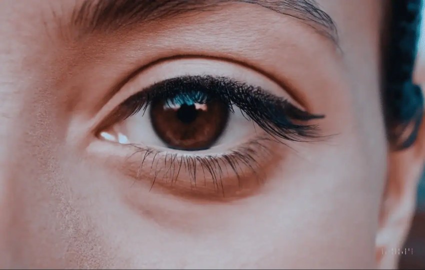 Sora AI text to video creation tool